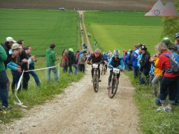 Marathon-EM 2013 245